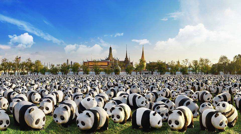 Social,WWF-ประเทศไทย, panda,แพนด้า, 1600 Pandas+ World Tour in Thailand
