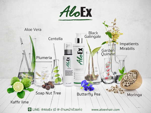 Hair, AloEx แชมพู, AloEx เซรั่ม, ผลิตภัณฑ์บำรุงผม, แชมพูสมุนไพร, แก้ปัญหาผมร่วง, แก้ปัญหาผมมัน, แก้ปัญหาผมบาง, แก้ปัญหารังแค, แก้ปัญหาหนังศีรษะแห้ง, แก้ปัญหาผม, แก้ปัญหาหนังศีรษะ, ปัญหาผม, เซรั่มบำรุงผม, เซรั่มบำรุงหนังศีรษะ, ดูแลปัญหาผม, ประโยชน์ของ AloEx, แบรนด์ไทย, แชมพูสมุนไพรไทย, เซรั่มสมุนไพรไทย