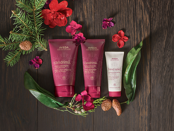 Beauty News, Aveda Candrimā, Aveda Candrimā Holiday 2016, เซ็ตของขวัญ Aveda, เทียน Aveda, สกินแคร์ Aveda, Aveda คอลเลคชั่นใหม่, Aveda ออกใหม่, Aveda ลิปกลอส, Aveda Holiday 2016, ของขวัญ Aveda Holiday 2016, Aveda กระดาษ Lokta, Aveda ช่วยเนปาล