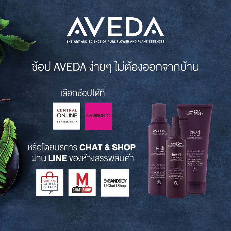 Promotions, Aveda, อเวดา, ช้อปออนไลน์, ซื้อออนไลน์, ช้อปออนไลน์, Chat & Shop, ช้อปปิ้ง, ซื้อของ, ผลิตภัณฑ์ผม, ดูแลผม, Chat & Shop