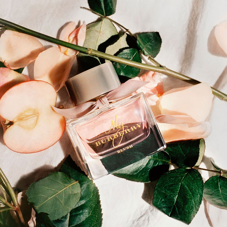 Beauty News, My Burberry Blush, น้ำหอม Burberry, น้ำหอมใหม่, น้ำหอม Burberry ออกใหม่, น้ำหอม Burberry มาใหม่, น้ำหอม Burberry สีชมพู, น้ำหอม Burberry หวาน, น้ำหอม Burberry หอม, น้ำหอม Burberry สวยหวาน, น้ำหอม Burberry ออกใหม่, น้ำหอม Burberry Fall 2017, น้ำหอมกลิ่นกุหลาบ, น้ำหอม Fruity floral, น้ำหอม Burberry กลิ่น Fruity floral