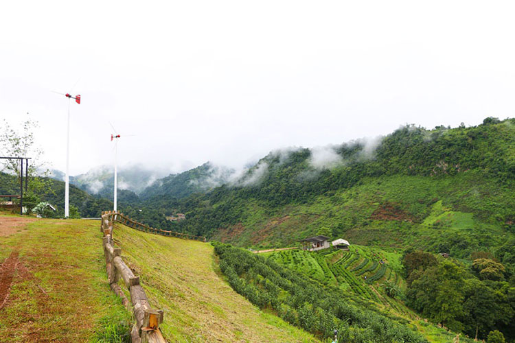 Lifestyle, โครงการหลวง,​ เที่ยวหน้าหนาว, เที่ยวดอย, ดอยตุง, ดอยอ่างขาง, ขุนวาง, ดอยอินทนนท์, ผาตั้ง, ปางอุ๋ง, ตีนตก, เชียงใหม่, เชียงราย, แม่ฮ่องสอน, เที่ยวภาคเหนือ, เที่ยวไทย, ท่องเที่ยวฤดูหนาว, ท่องเที่ยวเมืองไทย, ดอยโครงการหลวง, ผักผลไม้โรงการหลวง, กาแฟ, ชา, ไร่, นาขั้นบันได, ไร่ชา, ไร่กาแฟ, สตรอเบอร์รี่, แม่ฟ้าหลวง