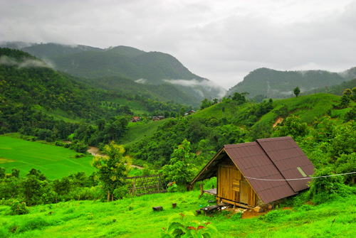 Lifestyle, โครงการหลวง,​ เที่ยวหน้าหนาว, เที่ยวดอย, ดอยตุง, ดอยอ่างขาง, ขุนวาง, ดอยอินทนนท์, ผาตั้ง, ปางอุ๋ง, ตีนตก, เชียงใหม่, เชียงราย, แม่ฮ่องสอน, เที่ยวภาคเหนือ, เที่ยวไทย, ท่องเที่ยวฤดูหนาว, ท่องเที่ยวเมืองไทย, ดอยโครงการหลวง, ผักผลไม้โรงการหลวง, กาแฟ, ชา, ไร่, นาขั้นบันได, ไร่ชา, ไร่กาแฟ, สตรอเบอร์รี่, แม่ฟ้าหลวง