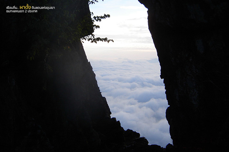 Lifestyle, โครงการหลวง,​ เที่ยวหน้าหนาว, เที่ยวดอย, ดอยตุง, ดอยอ่างขาง, ขุนวาง, ดอยอินทนนท์, ผาตั้ง, ปางอุ๋ง, ตีนตก, เชียงใหม่, เชียงราย, แม่ฮ่องสอน, เที่ยวภาคเหนือ, เที่ยวไทย, ท่องเที่ยวฤดูหนาว, ท่องเที่ยวเมืองไทย, ดอยโครงการหลวง, ผักผลไม้โรงการหลวง, กาแฟ, ชา, ไร่, นาขั้นบันได, ไร่ชา, ไร่กาแฟ, สตรอเบอร์รี่, แม่ฟ้าหลวง