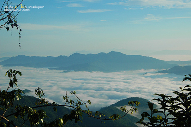 Lifestyle, โครงการหลวง,​ เที่ยวหน้าหนาว, เที่ยวดอย, ดอยตุง, ดอยอ่างขาง, ขุนวาง, ดอยอินทนนท์, ผาตั้ง, ปางอุ๋ง, ตีนตก, เชียงใหม่, เชียงราย, แม่ฮ่องสอน, เที่ยวภาคเหนือ, เที่ยวไทย, ท่องเที่ยวฤดูหนาว, ท่องเที่ยวเมืองไทย, ดอยโครงการหลวง, ผักผลไม้โรงการหลวง, กาแฟ, ชา, ไร่, นาขั้นบันได, ไร่ชา, ไร่กาแฟ, สตรอเบอร์รี่, แม่ฟ้าหลวง