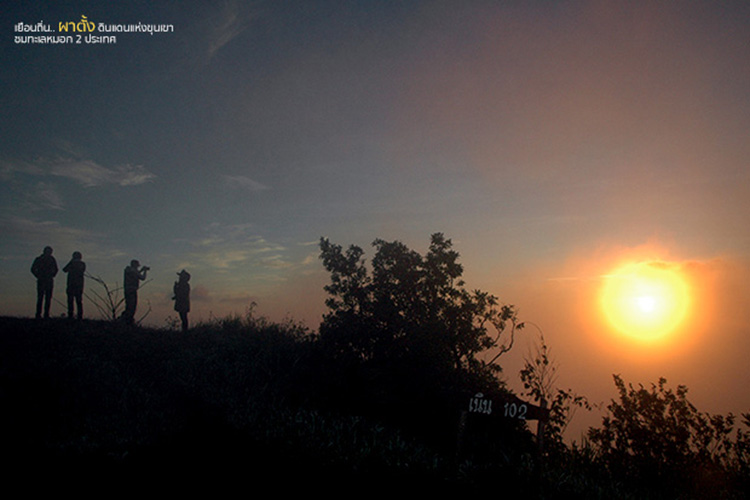 Lifestyle, โครงการหลวง,​ เที่ยวหน้าหนาว, เที่ยวดอย, ดอยตุง, ดอยอ่างขาง, ขุนวาง, ดอยอินทนนท์, ผาตั้ง, ปางอุ๋ง, ตีนตก, เชียงใหม่, เชียงราย, แม่ฮ่องสอน, เที่ยวภาคเหนือ, เที่ยวไทย, ท่องเที่ยวฤดูหนาว, ท่องเที่ยวเมืองไทย, ดอยโครงการหลวง, ผักผลไม้โรงการหลวง, กาแฟ, ชา, ไร่, นาขั้นบันได, ไร่ชา, ไร่กาแฟ, สตรอเบอร์รี่, แม่ฟ้าหลวง