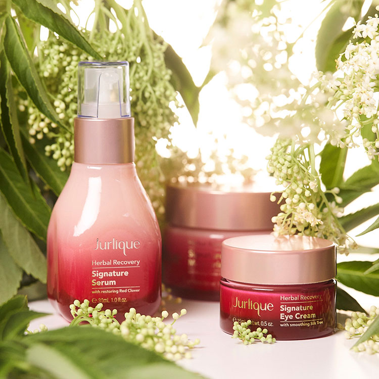 Beauty News, Jurlique Herbal Recovery, Jurlique คอลเลคชั่นใหม่, Jurlique มาใหม่, Jurlique ออกใหม่, Jurlique เซรั่ม, Jurlique น้ำตบ, Jurlique มิสต์, Jurlique ครีม, Jurlique อายครีม, Jurlique โลชั่น, Herbal Recovery Signature Serum, Herbal Recovery Signature Mist, Herbal Recovery Signature Moisturising Cream, Herbal Recovery Signature Moisturising Lotion, Herbal Recovery Signature Eye Cream, เจอร์ลีค