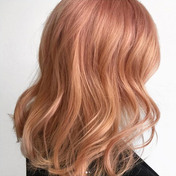 Hairstyle, สีผม, เทรนด์สีผม, สีสผม 2019, สีผมน่าทำตาม, สีผมใหม่, สีมามาใหม่, สีผมฮิต, สีผมฮอต, ย้อมผม, ทำสีผม, เทรนด์ผม, ทรงผม, Blorange, Mushroom Blonde, Strawberry Blonde, Honey Blonde, Baby Brown, Ash Brown, Inky Black, Caramel Blonde, Cool Brunette