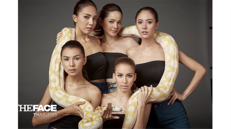 Lifestyle, The Face Thailand, The Face Thailand ซีซั่น 1, The Face Thailand ซีซั่น 2, The Face Thailand ซีซั่น 3, โมเมนท์ประทับใจ The Face Thailand, The Face Thailand ซีซั่นใหม่, ลูกเกด, มาช่า, คริส หอวัง, บี น้ำทิพย์, เกรซ เดอะเฟซ, ติช่า เดอะเฟซ, ซาบีน่า เดอะเฟซ, คำคม เดอะเฟซ, เดอะ เฟซ, ประกวดนางแบบ, ประกวด, เรียลลิตี้โชว์