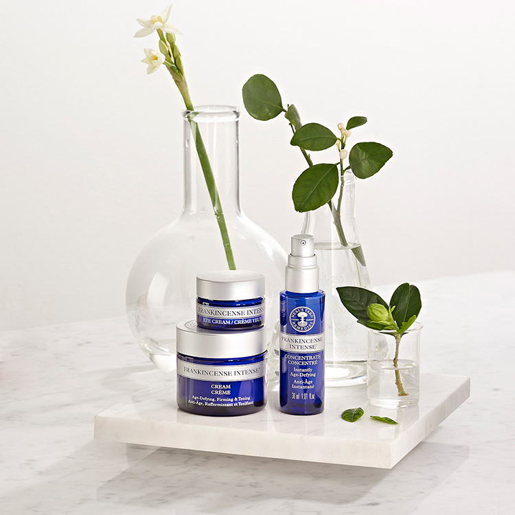 Beauty Items, Frankincense, Frankincense คืออะไร, Neal’s Yard Remedies, นีลส์ ยาร์ด เรมมิดีส์, แฟรงค์คินเซนส์, คืออะไร, เคล็ดลับความงามของคลีโอพัตรา, ไอเท็มเด็ด, ผลิตภัณฑ์ออร์แกนิค, บำรุงผิว, ให้ผิวอ่อนเยาว์, ผิวยืดหยุ่น, ลดเลือกริ้วรอย, ไอเท็มเด็ดจาก Neal’s Yard Remedies, Neal’s Yard Remedies เซรั่ม, Neal’s Yard Remedies อายครีม, Neal’s Yard Remedies ครีม, Neal’s Yard Remedies คอนเซนเทรท