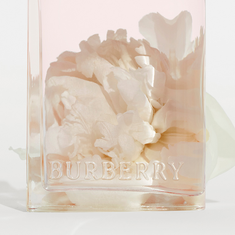 Beauty News, Burberry, Her Blossom Eau de toilette, Burberry Her Blossom, น้ำหอม Burberry, Burberry น้ำหอมกลิ่นใหม่, Burberry คอลเลคชั่นใหม่, น้ำหอมกลิ่นซากุระ, น้ำหอม เบอร์เบอร์รี่, ราคา, เท่าไร, Cara Delevingne, คาร่า เดอลาวีญ, Francis Kurkdjian, ฟรานซิส คอร์กดิฌง