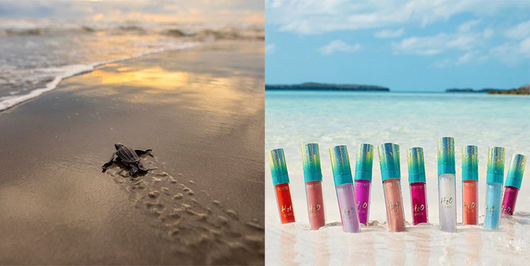Beauty Items, Vegan, Cruelty Free, เครื่องสำอางวีแกน, cosmetics vegan, makeup items vegan, ผลิตภัณฑ์จากธรรมชาติ, ของจากธรรมชาติ, ไม่มีส่วนประกอบจากสัตว์, ไม่ทดลองกับสัตว์, ออร์แกนิค, ไอเท็มจากธรรมชาติ, ไม่ทำร้ายสัตว์, Neal’s Yard Remedies, Panpuri, Cover Fx, Kat Von D, LUSH, Tarte, The Body Shop, Urban Decay, E.L.F Cosmetics, Milk Makeup, Hourglass