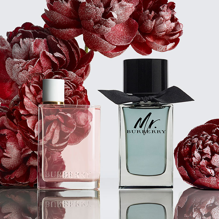 Beauty News, Burberry, Burberry Beauty, A Burberry Holiday in Bloom, Festive Collection, คอลเลคชั่นพิเศษ, Holiday 2020, เมคอัพ, น้ำหอม, limited edition