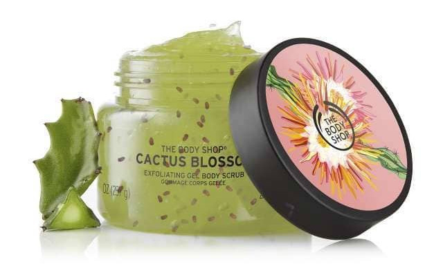 Beauty Items, Cactus, กระบองเพชร, สกินแคร์จากกระบองเพชร, สกินแคร์จาก Cactus, บำรุงผิว, ฟื้นฟูผิวแห้งขาดน้ำ, ช่วยให้ผิวเก็บกักน้ำ, YSL Pure Shots Night Reboot Serum, Starskin Orglamic Pink Cactus Pudding, Huxley Oil Essence, Boscia Cactus Water Moisturizer, IT Cosmetics Confidence in a Gel Lotion, Kiehl’s Cactus Flower & Tibetan Ginseng Hydrating Mist, The Body Shop Cactus Blossom Body Scrub, Tony Moly I’m Real Cactus Mask Sheet