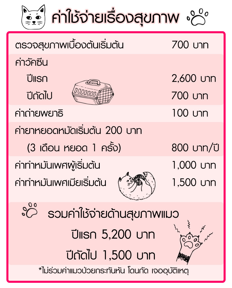 Lifestyle, สัตว์เลี้ยง, แมว, ค่าใช้จ่าย, ค่าดูแล, ค่าอาหาร, ค่ายา, ค่าวัคซีน, ค่าหมอ, ค่าเลี้ยงดู, ค่าทำหมัน, ค่าขนมแมว, ค่าทรายแมว, ค่าของใช้แมว, ค่าเสียหาย, ค่ารักษา, ค่าอาบน้ำ