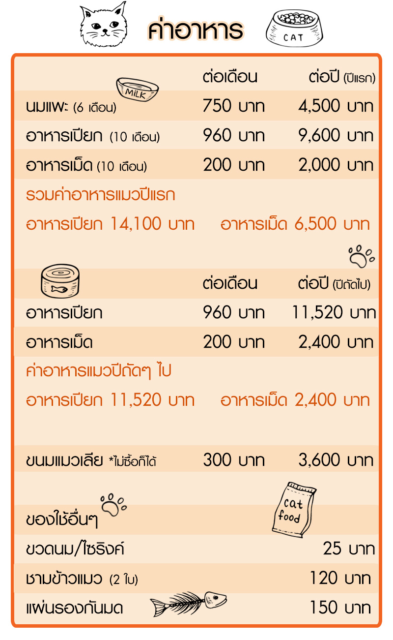 Lifestyle, สัตว์เลี้ยง, แมว, ค่าใช้จ่าย, ค่าดูแล, ค่าอาหาร, ค่ายา, ค่าวัคซีน, ค่าหมอ, ค่าเลี้ยงดู, ค่าทำหมัน, ค่าขนมแมว, ค่าทรายแมว, ค่าของใช้แมว, ค่าเสียหาย, ค่ารักษา, ค่าอาบน้ำ