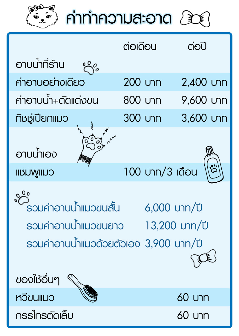 Lifestyle, สัตว์เลี้ยง, แมว, ค่าใช้จ่าย, ค่าดูแล, ค่าอาหาร, ค่ายา, ค่าวัคซีน, ค่าหมอ, ค่าเลี้ยงดู, ค่าทำหมัน, ค่าขนมแมว, ค่าทรายแมว, ค่าของใช้แมว, ค่าเสียหาย, ค่ารักษา, ค่าอาบน้ำ