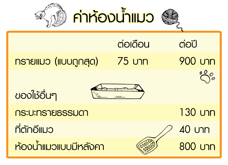 Lifestyle, สัตว์เลี้ยง, แมว, ค่าใช้จ่าย, ค่าดูแล, ค่าอาหาร, ค่ายา, ค่าวัคซีน, ค่าหมอ, ค่าเลี้ยงดู, ค่าทำหมัน, ค่าขนมแมว, ค่าทรายแมว, ค่าของใช้แมว, ค่าเสียหาย, ค่ารักษา, ค่าอาบน้ำ