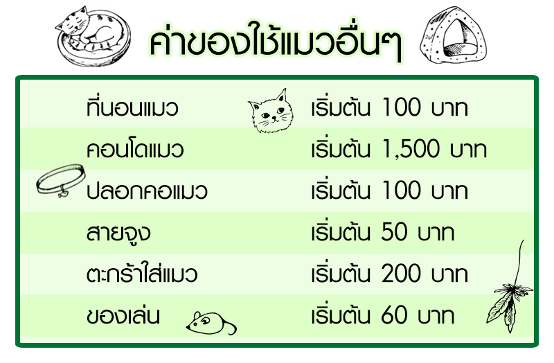 Lifestyle, สัตว์เลี้ยง, แมว, ค่าใช้จ่าย, ค่าดูแล, ค่าอาหาร, ค่ายา, ค่าวัคซีน, ค่าหมอ, ค่าเลี้ยงดู, ค่าทำหมัน, ค่าขนมแมว, ค่าทรายแมว, ค่าของใช้แมว, ค่าเสียหาย, ค่ารักษา, ค่าอาบน้ำ