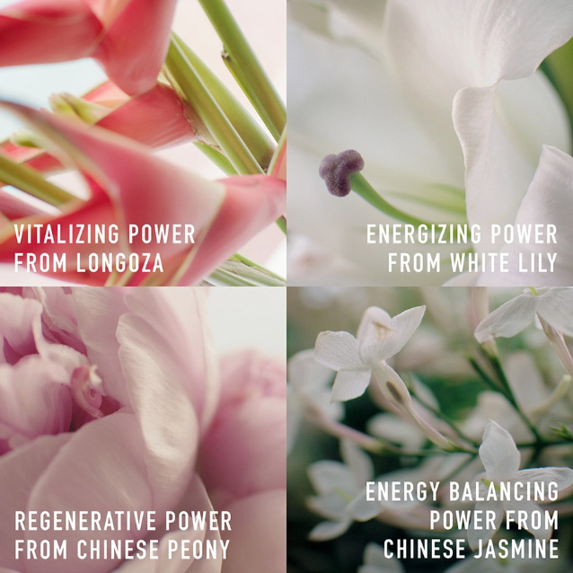 Beauty News, Dior Capture Totale C.E.L.L. Energy, Dior Skincare, Dior ผลิตภัณฑ์ใหม่, Dior สกินแคร์, Dior คอลเลคชั่นใหม่, Dior มาใหม่, Capture Totale C.E.L.L. Energy Super Potent Serum, Capture Totale C.E.L.L. Energy Lotion, Capture Totale C.E.L.L. Energy Crème, Capture Totale C.E.L.L. Energy Eye Crème, Capture Totale C.E.L.L. Energy Gentle Cleanser