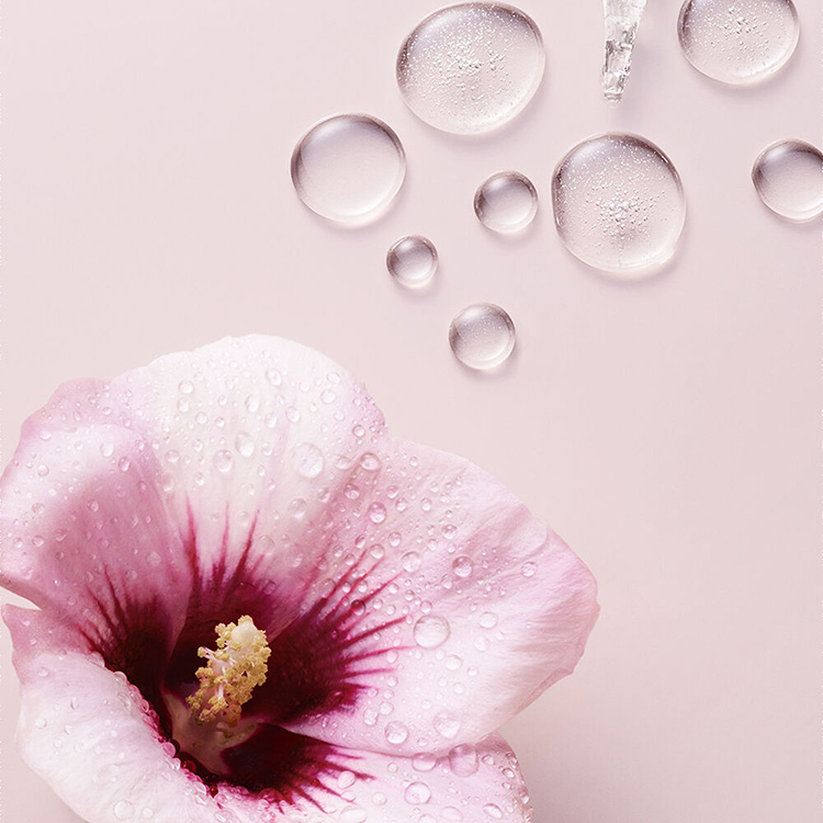 Beauty News, Philosophy The Microdelivery Dream Peel, Philosophy, ผลัดเซลล์ผิว, ฟื้นฟูสภาพผิว, พีลลิ่งผิว, ผิวสวย, ต่อต้านริ้วรอย, กู้ผิวสวย, ดูแลผิว, ไอเทมใหม่, คอลเลคชั่นใหม่