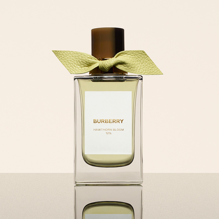 Beauty News, BURBERRY LONDON, BURBERRY น้ำหอม, BURBERRY BEAUTY, BURBERRY SIGNATURES, คอลเลคชั่นใหม่, ราคา, เท่าไร, ขายที่ไหน, พารากอน, คอลเลคชั่นใหม่, คอลเลคชั่นน้ำหอม, AMBER HEATH, ANTIQUE OAK, CLARY SAGE, GARDEN ROSES, HAWTHORN BLOOM, TUDOR ROSE