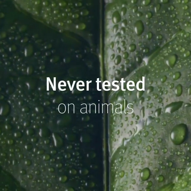 Beauty News, Aveda, 100% Vegan, วีแกน 100%, รักษ์โลก, ไม่ทดลองกกับสัตว์, ไม่ใช้ส่วนผสมจากสัตว์, ผลิตภัณฑ์ผมคุณภาพสูง, แบรนด์ผลิตภัณฑ์ผม, luxury, high-end, แบรนด์สกินแคร์, จากธรรมชาติ, สกัดจากพืช, ลดการใช้คาร์บอน