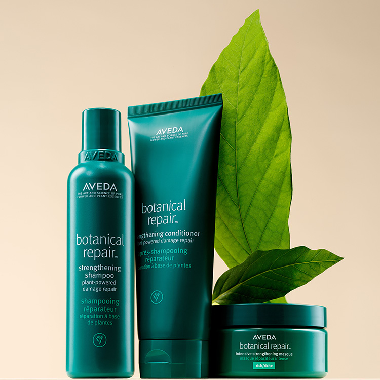 Beauty News, Aveda, 100% Vegan, วีแกน 100%, รักษ์โลก, ไม่ทดลองกกับสัตว์, ไม่ใช้ส่วนผสมจากสัตว์, ผลิตภัณฑ์ผมคุณภาพสูง, แบรนด์ผลิตภัณฑ์ผม, luxury, high-end, แบรนด์สกินแคร์, จากธรรมชาติ, สกัดจากพืช, ลดการใช้คาร์บอน