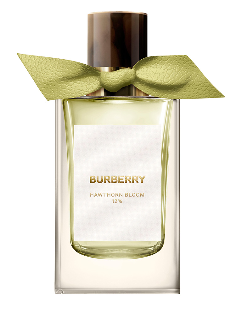 Fierce’s Pick, Perfume, น้ำหอม, น้ำหอมเฉพาะกลุ่ม, น้ำหอมกลิ่นดี, น้ำหอมหอมมาก, น้ำหอมไฮเอนด์, น้ำหอมราคาแพง, น่าสนใจ, แปลกใหม่, กลิ่นที่ชอบ, รีวิวน้ำหอม, เฟียร์ซรีวิว, Maison Margiela Replica Lazy Sunday Morning, Louis Vuitton Dans La Peau,  Byredo Rose of No Man’s Land, Jo Malone Poppy & Barley Cologne, BVLGARI Allegra Riva Solare, BVLGARI Magnifying Musk, Le Labo Santal 33, Tom Ford Tuscan Leather, Burberry Signature Hawthorn Bloom, Maison Francis Kurkdjian Baccarat Rouge 540, Maison Christian Dior Oud Rosewood, Frederic Malle Musc Ravageur, Aerin Mediterranean Honeysuckle, ราคา, เท่าไร