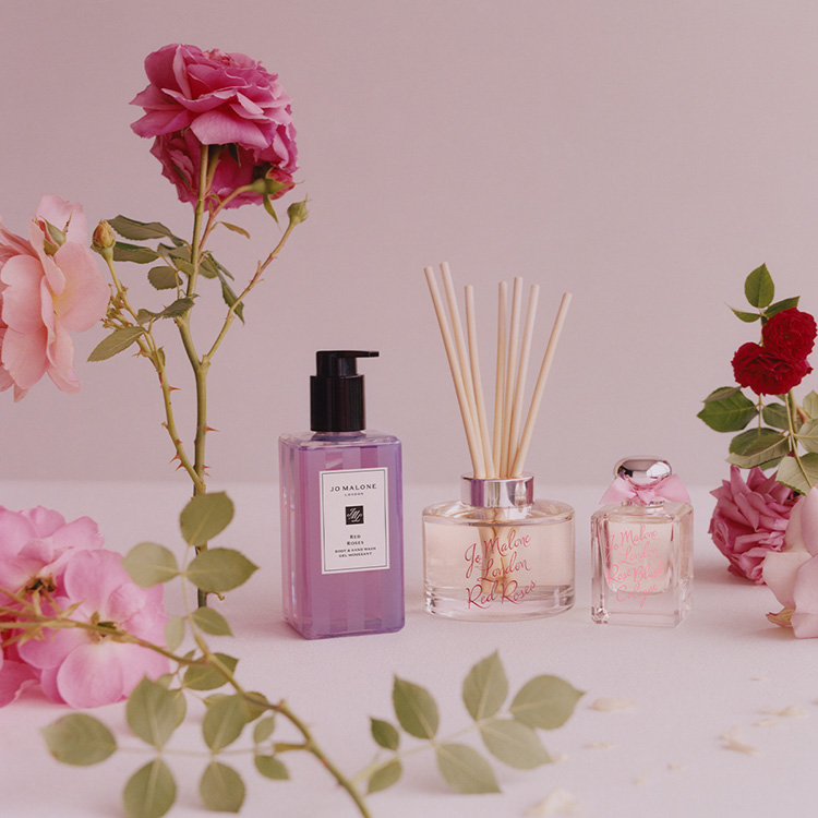 Beauty News, Jo Malone London, โจ มาโลน ลอนดอน, Rose Collection, Limited Edition, Red Roses, Rose & Magnolia, Rose Blush, Velvet Rose & Oud, คอลเลคชั่นใหม่, ออกใหม่, มาใหม่, ราคา, เท่าไร