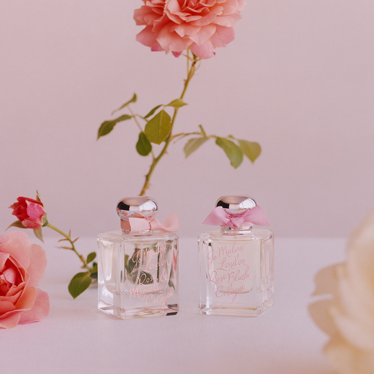 Beauty News, Jo Malone London, โจ มาโลน ลอนดอน, Rose Collection, Limited Edition, Red Roses, Rose & Magnolia, Rose Blush, Velvet Rose & Oud, คอลเลคชั่นใหม่, ออกใหม่, มาใหม่, ราคา, เท่าไร