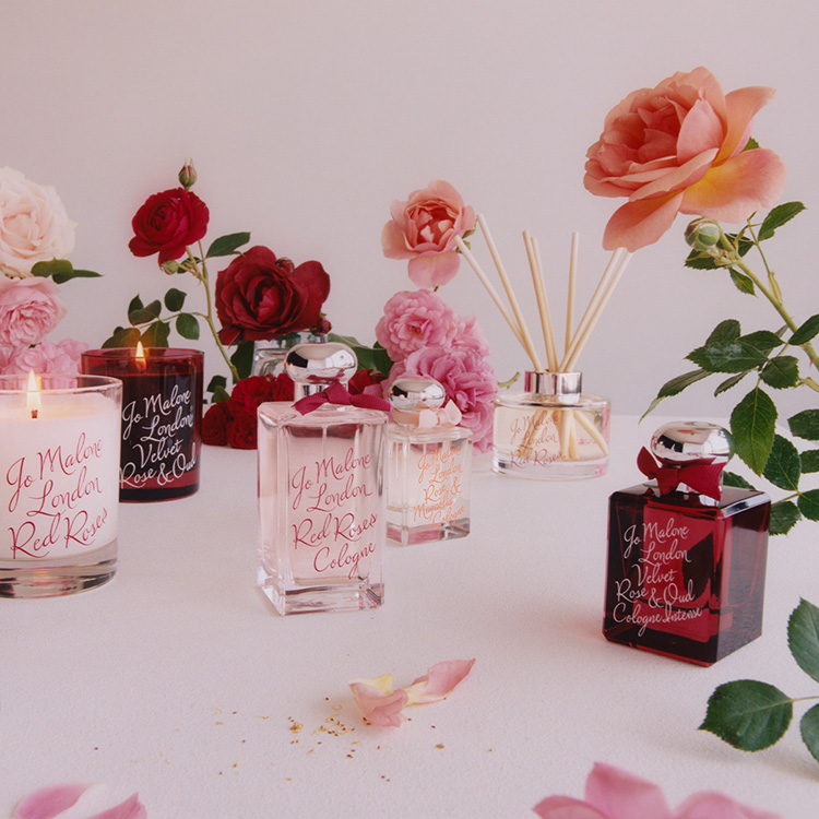 Beauty News, Jo Malone London, โจ มาโลน ลอนดอน, Rose Collection, Limited Edition, Red Roses, Rose & Magnolia, Rose Blush, Velvet Rose & Oud, คอลเลคชั่นใหม่, ออกใหม่, มาใหม่, ราคา, เท่าไร