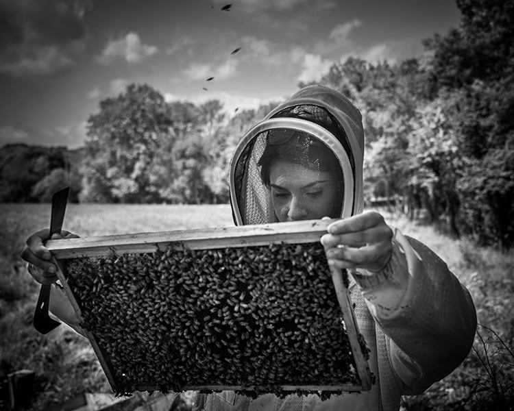 Beauty News, Guerlain, World Bee Day 2022, Tomáš Libertíny, Guerlain for Bees Conservation Programme, 20 - 22 พฤษภาคม 2565, Limited Edition Huile-en-Eau Abelle Royale