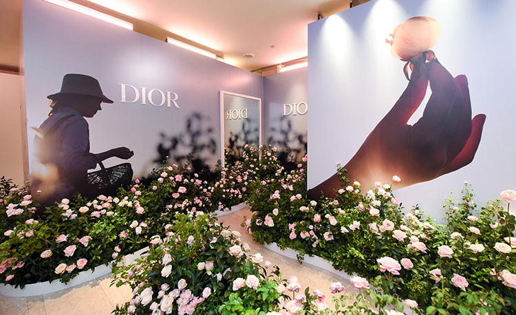 Beauty News, Dior, Dior Prestige La Crème, Dior Rose Gallery, Park Hyatt กรุงเทพ, Rose de Granville, ครีมสูตรใหม่, คุณค่าจากกุหลาบ, ราคา, เท่าไร