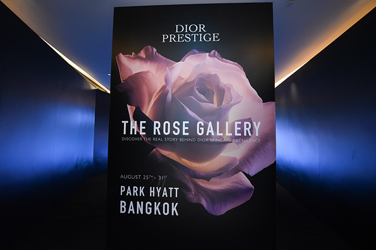 Beauty News, Dior, Dior Prestige La Crème, Dior Rose Gallery, Park Hyatt กรุงเทพ, Rose de Granville, ครีมสูตรใหม่, คุณค่าจากกุหลาบ, ราคา, เท่าไร