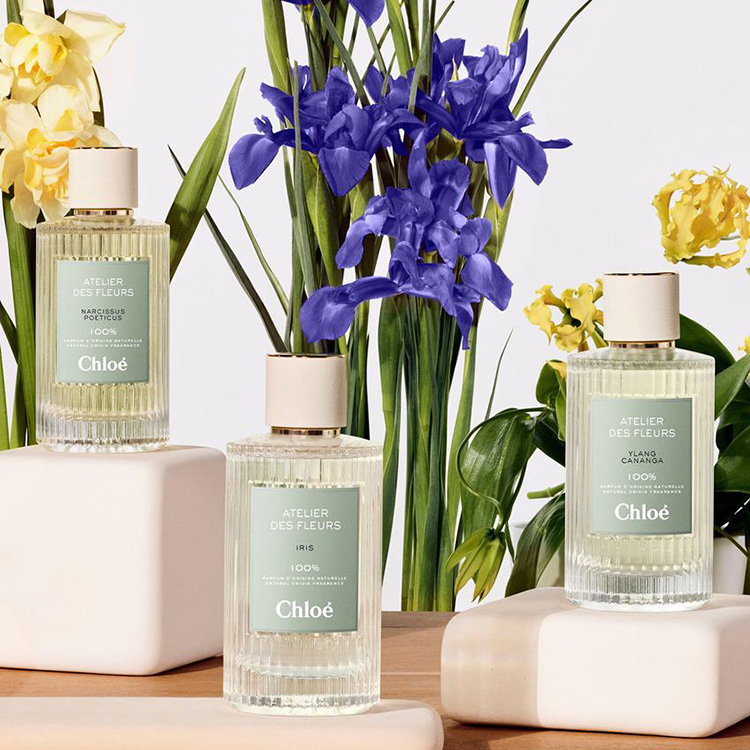 Beauty News, Chloé, Atelier des Fleurs, โคลเอ้, น้ำหอม,​ คอลเลคชั่น, พิเศษ, กลิ่นดอกไม้, กลิ่นพืช, ROSA DAMASCENA, LAVANDA, MAGNOLIA ALBA, CEDRUS, HIBISCUS ABELMOSCHUS, HERBA MIMOSA, NEROLI, VERBENA, JASMINUM SAMBAC, VANILLA PLANIFOLIA, PAPYRUS, TUBEROSA 1974, NARCISSUS POETICUS, IRIS, YLANG CANANGA