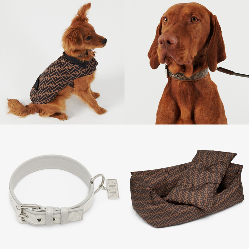 Fashion, สัตว์เลี้ยง, Pet Accessories, ไแเทมสำหรับสัตว์เลี้ยง, ปลอกคอ, สายจูง, กระเป๋า, ชามข้าว, เครื่องหนัง, เสื้อผ้าน้องหมา, เสื้อผ้าน้องแมว, สุนัข, หมา, แมว, แบรนด์เนม, Gucci, Versace, Prada, Louis Vuitton, Fendi, Valentino, Celine, Moschino, Off-White, Hermes