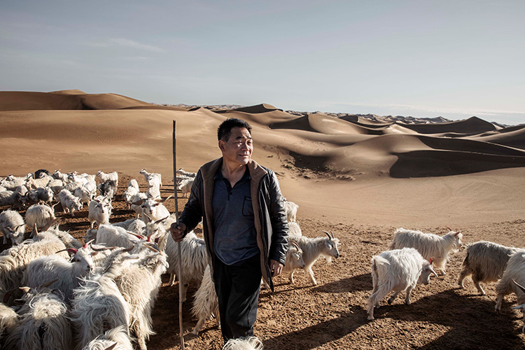Fashion News, Loro Piana, แบรนด์สิ่งทอ, อิตาลี, ประวัติศาสตร์ยาวนาน, มรดก, ขนสัตว์, สิ่งแวดล้อม, ปกป้องสัตว์ป่า, วัตถุดิบล้ำค่า, การอนุรักษ์, เสื้อผ้าชั้นเลิศ, สิ่งทอ, แบรนด์หรู, วิคูญา, Vicuña, เปรู, Peru, โบลิเวีย, Bolivia, อาร์เจนตินา, Argentina, แคชเมียร์, Cashmere, เบบี้แคชเมียร์, Baby Cashmere, จีน, มองโกเลีย, Mongolia, ขนแกะเมอริโน, Merino, ออสเตรเลีย, Australia, นิวซีแลนด์, New Zealand, Lotus Flower, บัว, เมียนมาร์, Myanmar