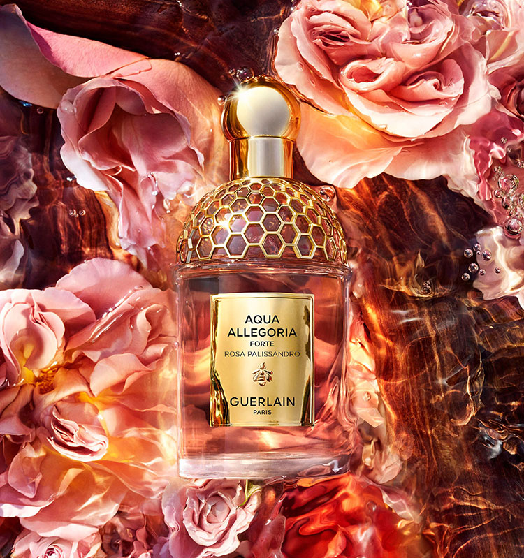 Beauty News, Guerlain, เกอร์แลง, Aqua Allegoria Forte, Eaux de Parfum, แนวกลิ่น Woody, Bosca Vanilla, Rosa Palissandro, Oud Yuzu, ราคา, เท่าไร