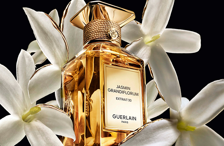 Beauty News, GUERLAIN, EXTRAIT DE PARFUME, L’ART & LA MATIERE, น้ำหอม, เข้มข้น, ชั้นสูง, IRIS PALLIDA EXTRAIT 6, ROSE CENTIFOLIA EXTRAIT 1, VANILLE PLANIFOLIA EXTRAIT 21, BERGAMOTE FANTASTICO EXTRAIT 11, JASMIN GRANDIFLORUM EXTRAIT 30, TONKA SARRAPIA EXTRAIT 75, ราคา, เท่าไร