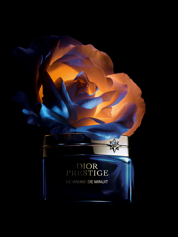 Beauty News, Dior, Dior Beauty, Dior Prestige, Le Baume de Minuit, Dior Science, ครีมบำรุงผิว, ดอกกุหลาบ, Rose de Granville, ไนท์ครีม, บาล์มบำรุงผิว, ยามค่ำคืน